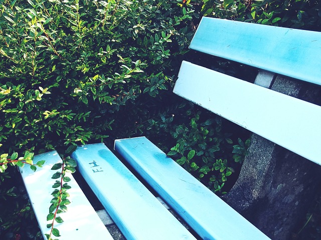 自身能力的 自身能力的