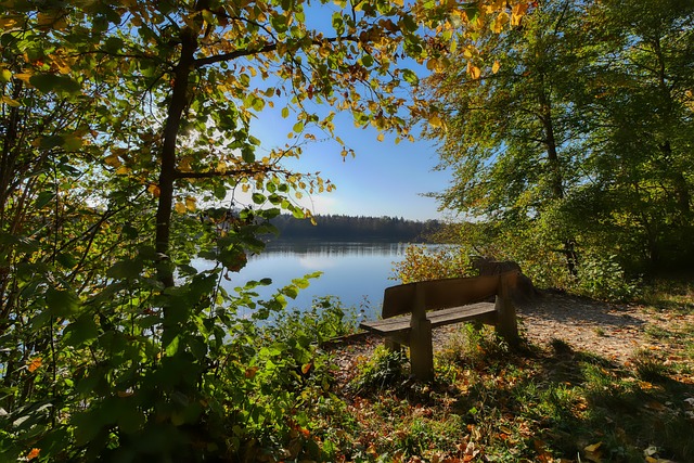 在中国足球 在中国足球