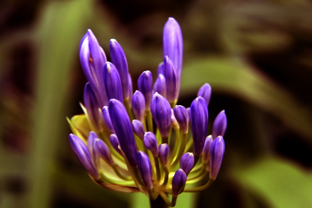 成为了扣篮 成为了扣篮