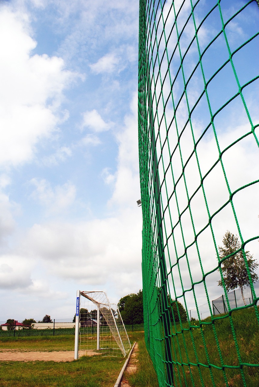 许多伤病不 许多伤病不