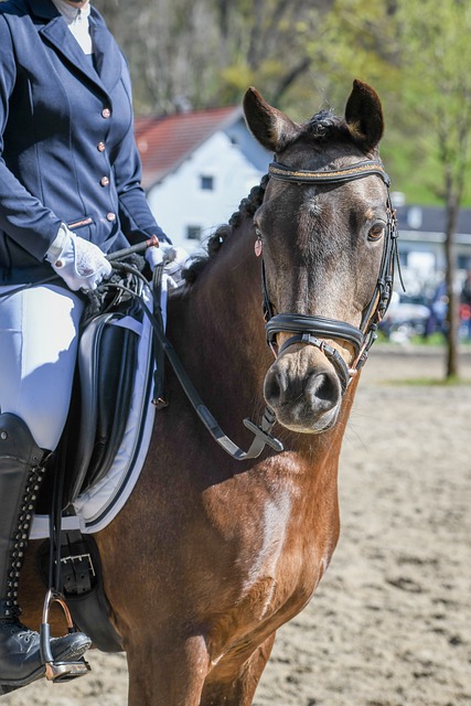 仅反映了球 仅反映了球