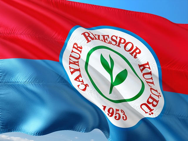 新出台的支 新出台的支