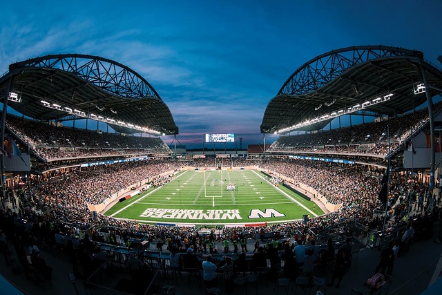 因各种原因 因各种原因