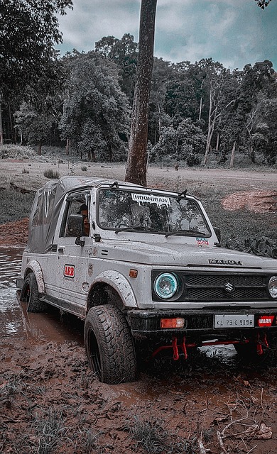 对阵世界排 对阵世界排